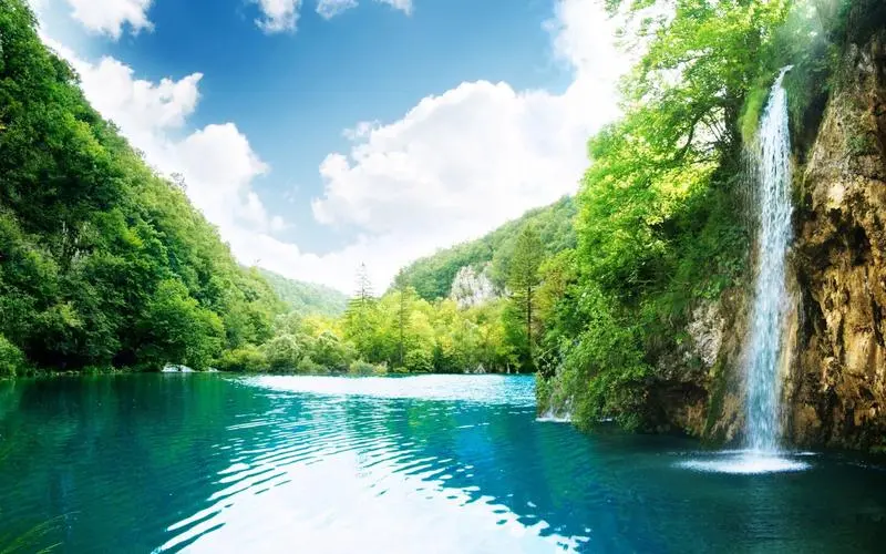 高效可靠性网络化